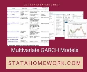 Multivariate GARCH Models